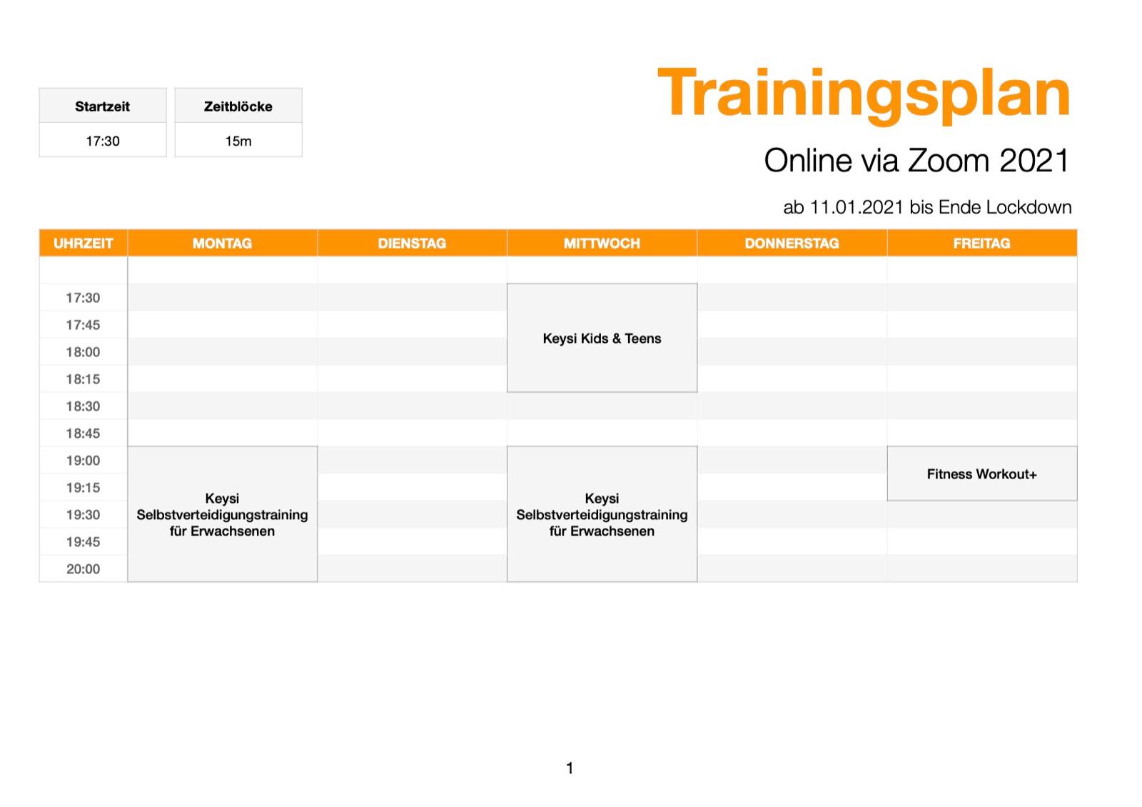 Corona-Online-Training per Zoom